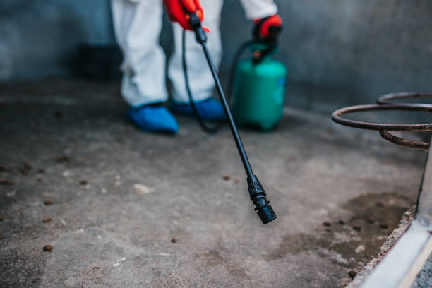 Zararlılara Karşı Etkili İlaçlar